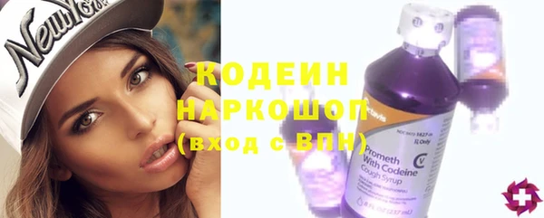 стаф Нея