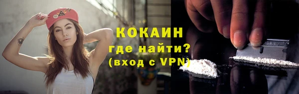 стаф Нея