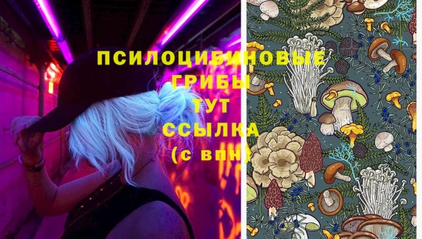 мяу мяу мука Новодвинск