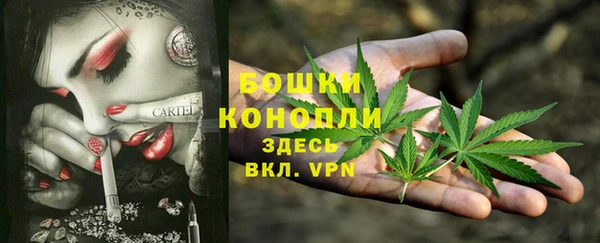 стаф Нея